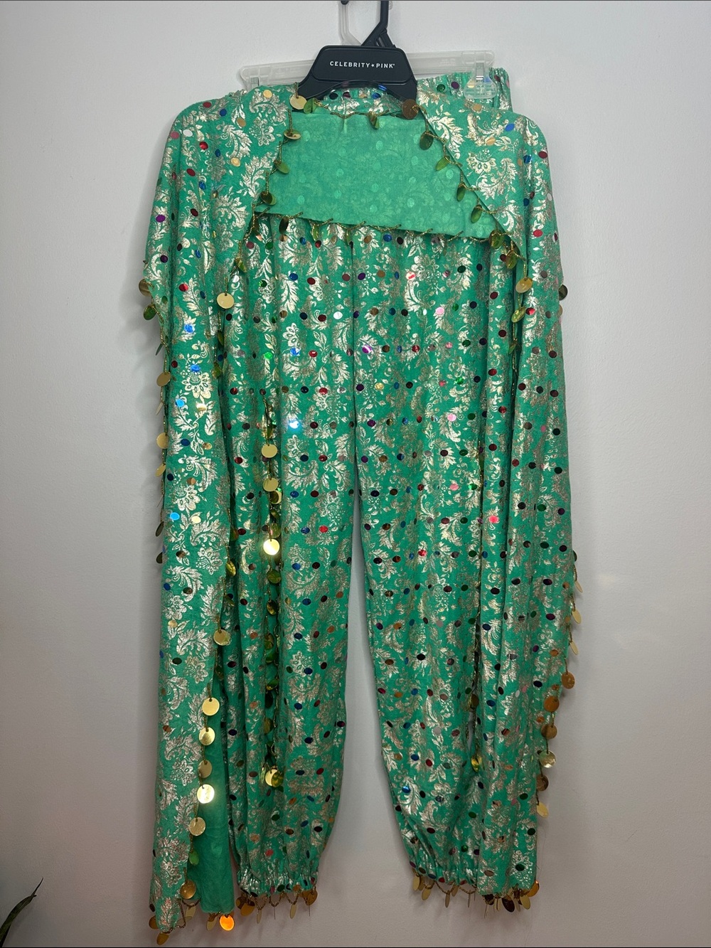 Green Metallic Coin-Trim Harem Pants & Matching Scarf